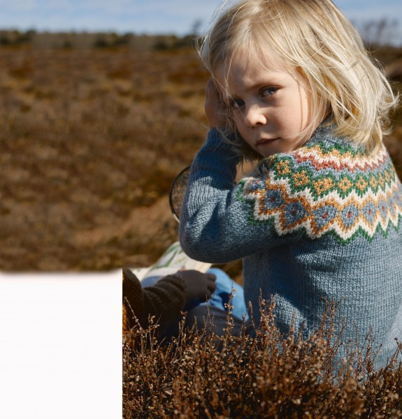 Alex Pullover 2009-4 Strick-Set (SANDNES)