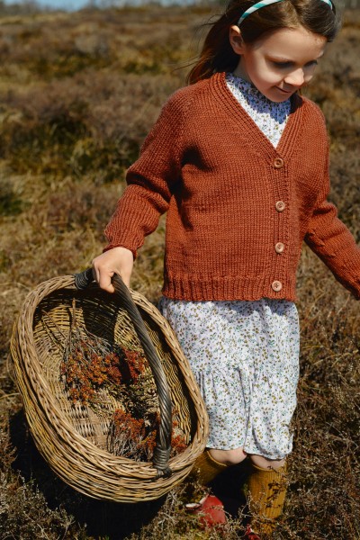 Kinderweste mit V-Ausschnitt 2009-7 Strick-Set (SANDNES)